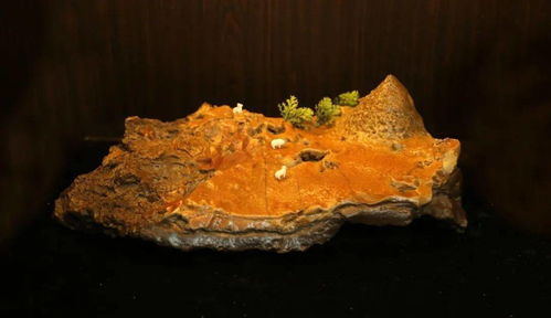 石界有個吳乃江